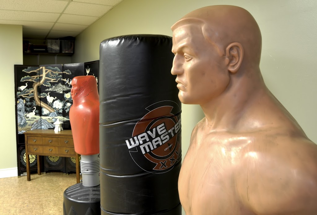 Diamond Martial Arts | 1733 Industrial Rd, Cambridge, ON N3H 5G7, Canada | Phone: (519) 897-0832