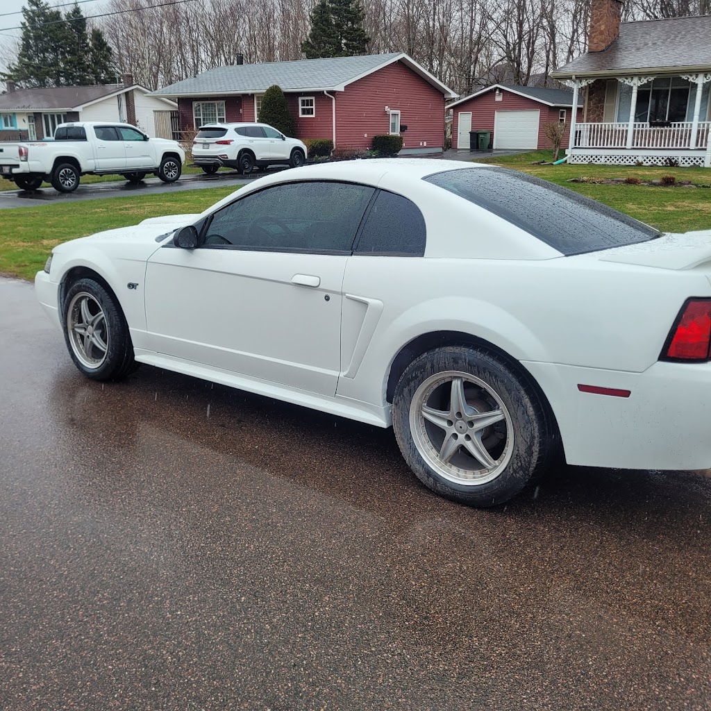 Darkstar tinting | 79 Lily Crescent, Summerside, PE C1N 4M6, Canada | Phone: (902) 439-3885