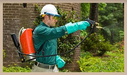 Bartlett Tree Experts | 1218 Rosewarne Dr, Bracebridge, ON P1L 0A1, Canada | Phone: (705) 646-8733