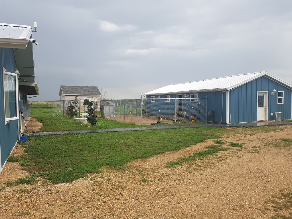 Paws Claws N Tails Kennel | Baildon Farm Road, MAIL TO: P.O.B. 691 BUSHELL PARK,, Baildon, SK S0H 0N0, Canada | Phone: (306) 693-0310