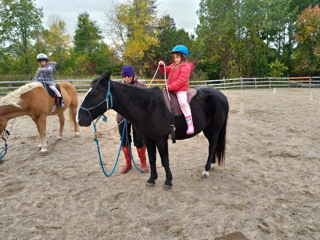 Punkin Patch Farm | 338 Chemin du Petit-Brûlé, Rigaud, QC J0P 1P0, Canada | Phone: (450) 451-1158