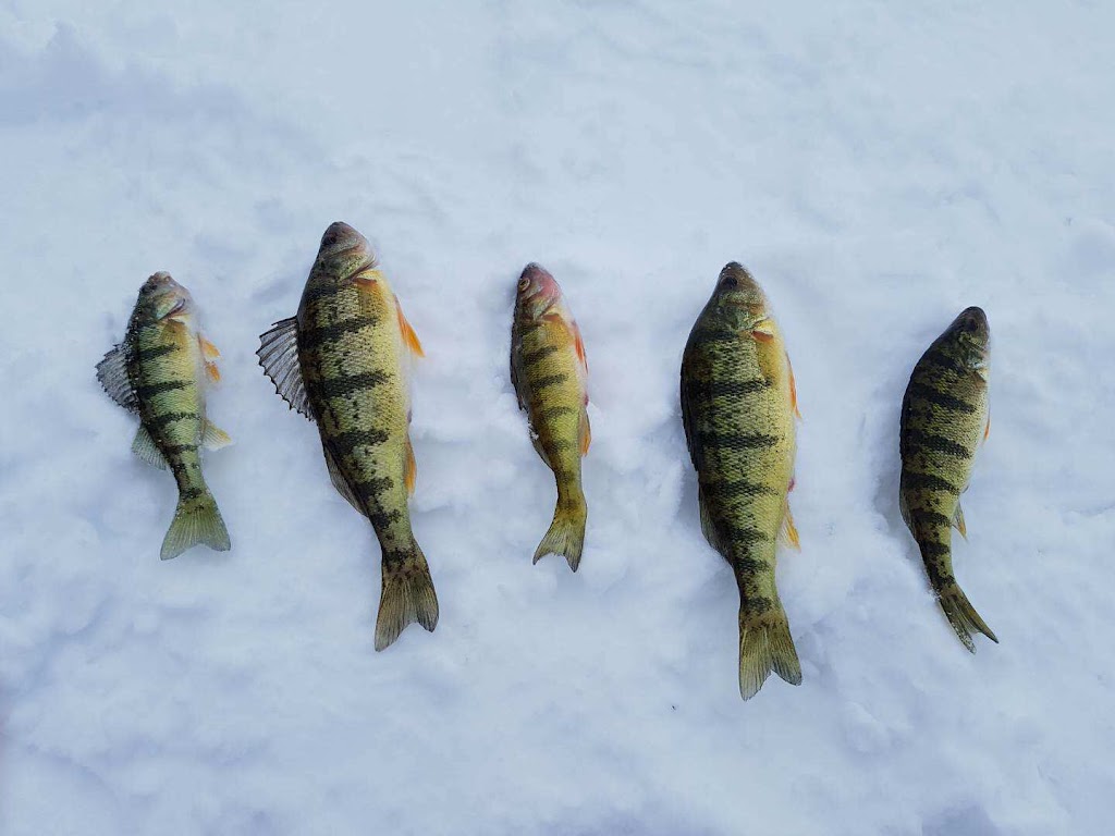 Mitchells Fish Huts | 6 Wellington St, Beaverton, ON L0K 1A0, Canada | Phone: (705) 426-9482