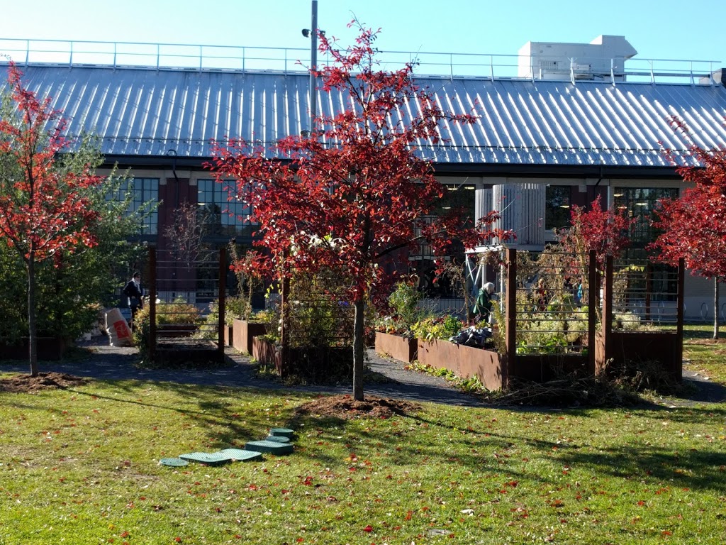 Civic Gardens - Lansdowne Park | The Glebe, Ottawa, ON K1S 5H6, Canada