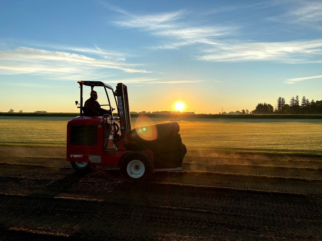Greenhorizons Sod Farms - Middlesex Sod | 4227 Dundas St &, County Rd 32, London, ON N5V 5C6, Canada | Phone: (519) 268-7518