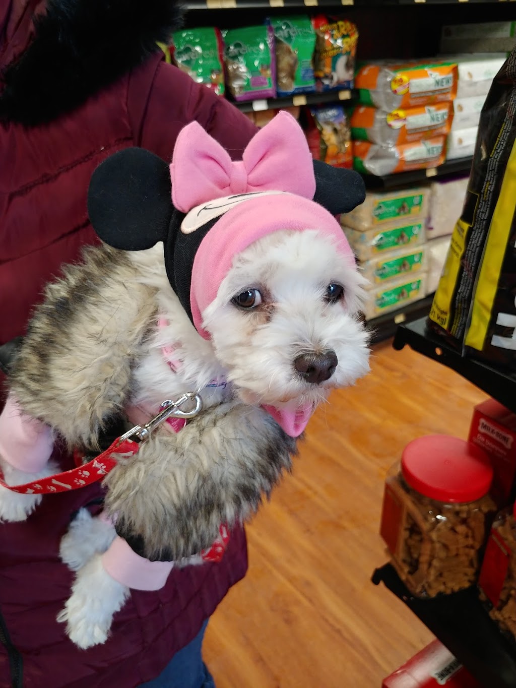Pet Valu | 2736 Chamberland St, Rockland, ON K4K 0B2, Canada | Phone: (613) 446-6649