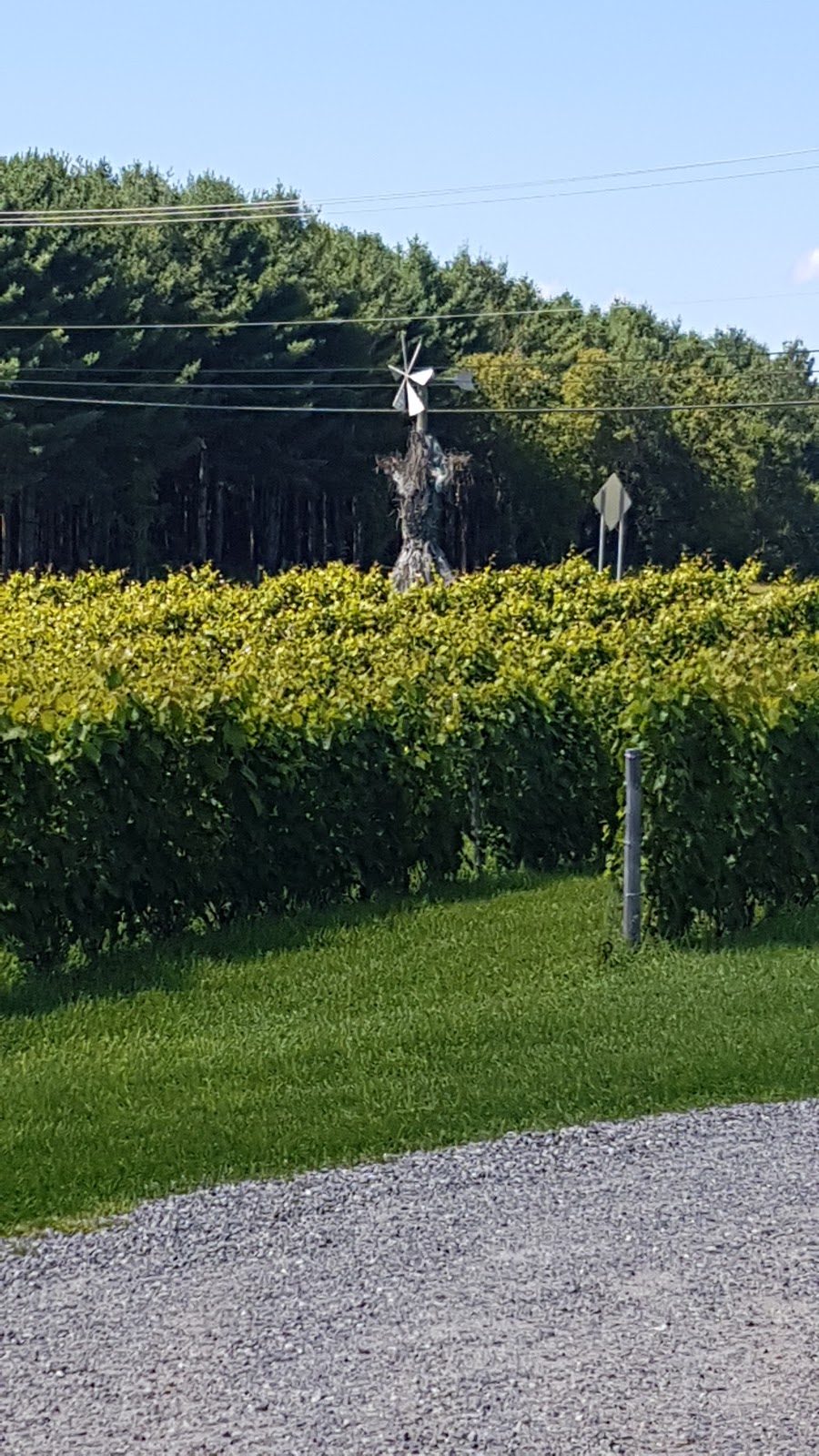 DOMAINE DU MONT-VÉZEAU | 365 QC-321, Ripon, QC J0V 1V0, Canada | Phone: (819) 428-2291