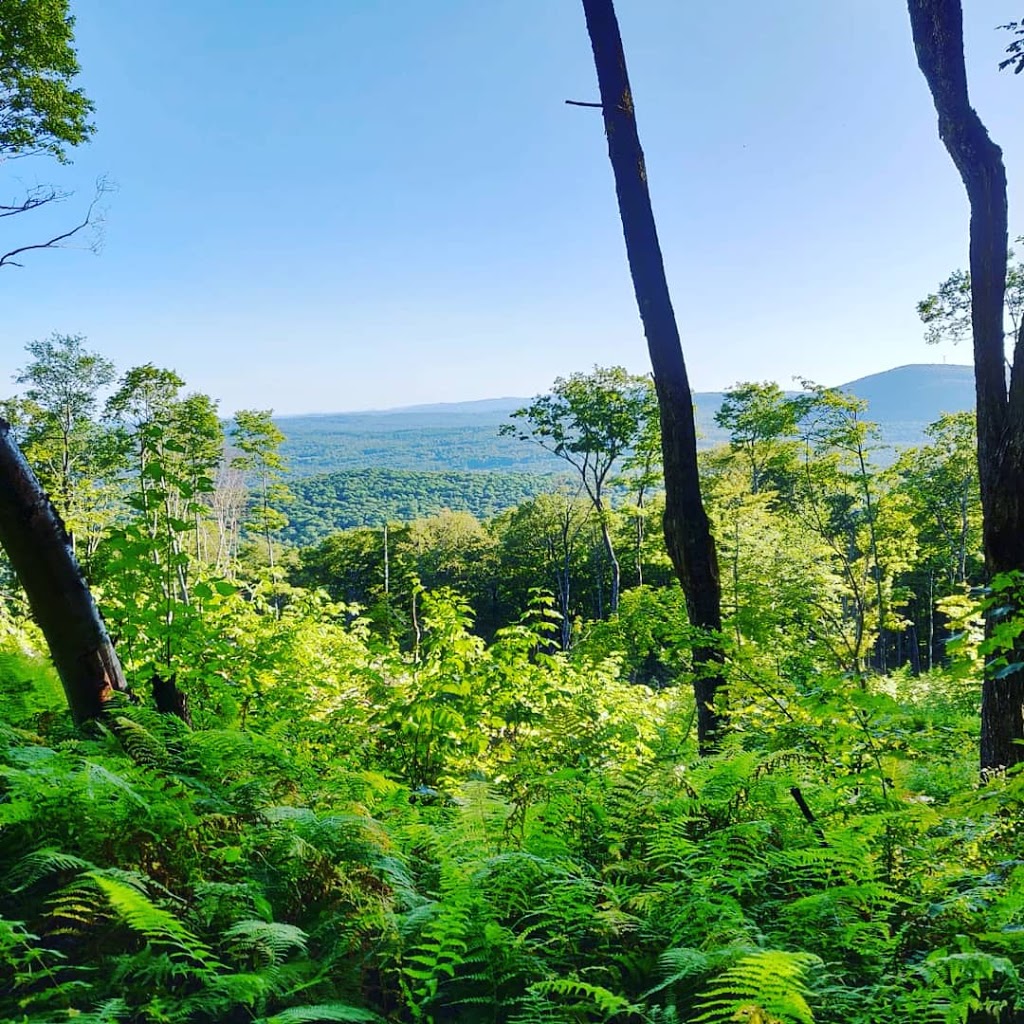 Mount Pisgah Trail | Brownington, VT 05860, USA