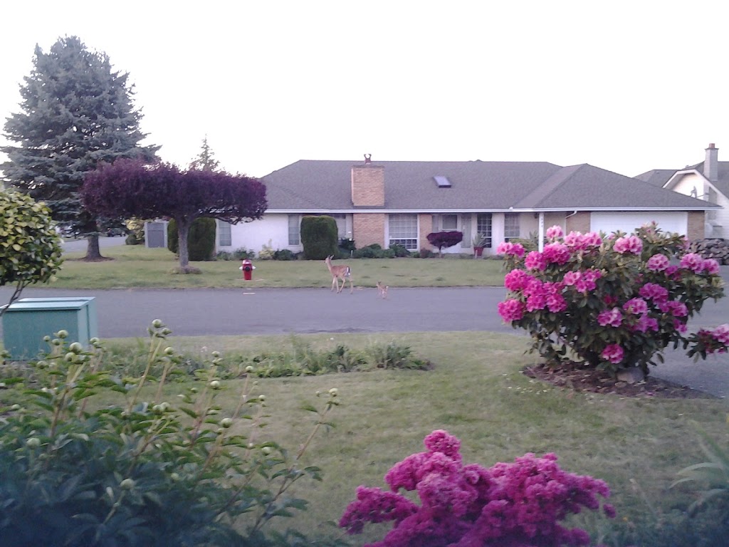 King Alfred Park | 4408-, 4410 King Alfred Ct, Victoria, BC V8N 6E4, Canada
