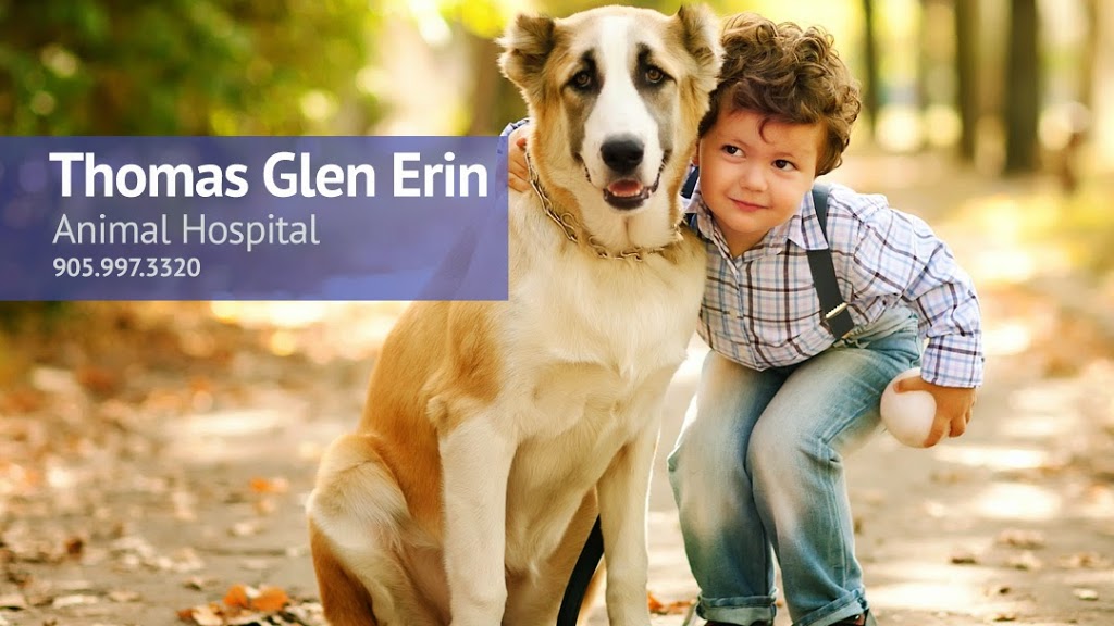 Thomas Glen Erin Animal Hospital | 5636 Glen Erin Dr Unit 9A, Mississauga, ON L5M 6B1, Canada | Phone: (905) 997-3320