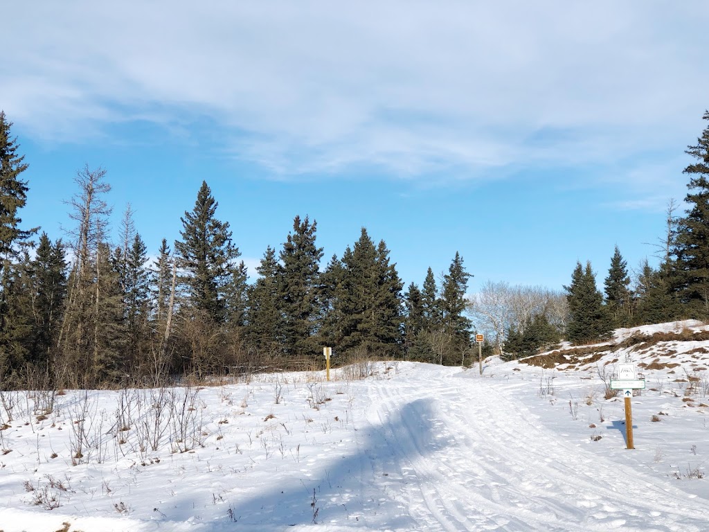 Spruce Woods Provincial Park | Carberry, MB R0K 0H0, Canada | Phone: (204) 827-8850