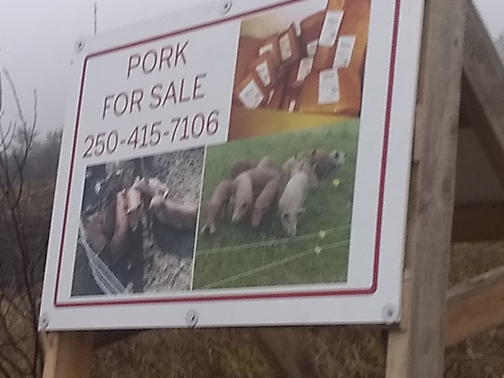 Kevin Farm | 445 Ballyduff Rd, Pontypool, ON L0A 1K0, Canada | Phone: (250) 415-7106