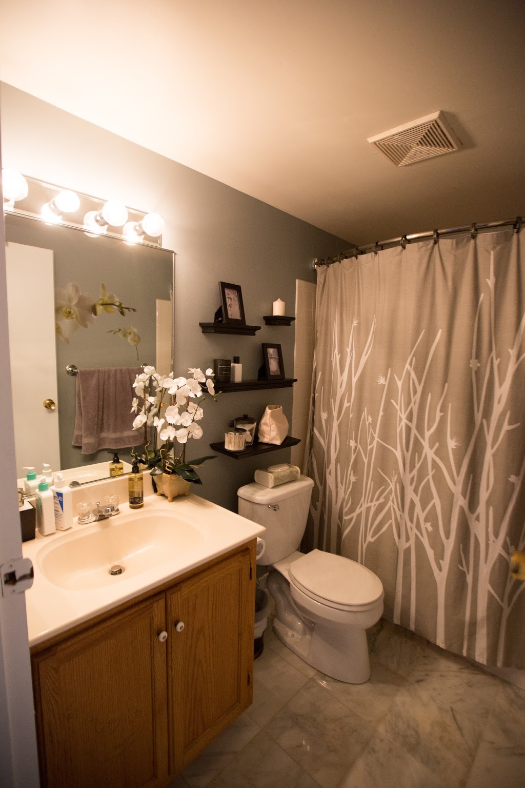 Colonie Apartments | 1 Durham Dr Apt B, Buffalo, NY 14228, USA | Phone: (716) 217-2441