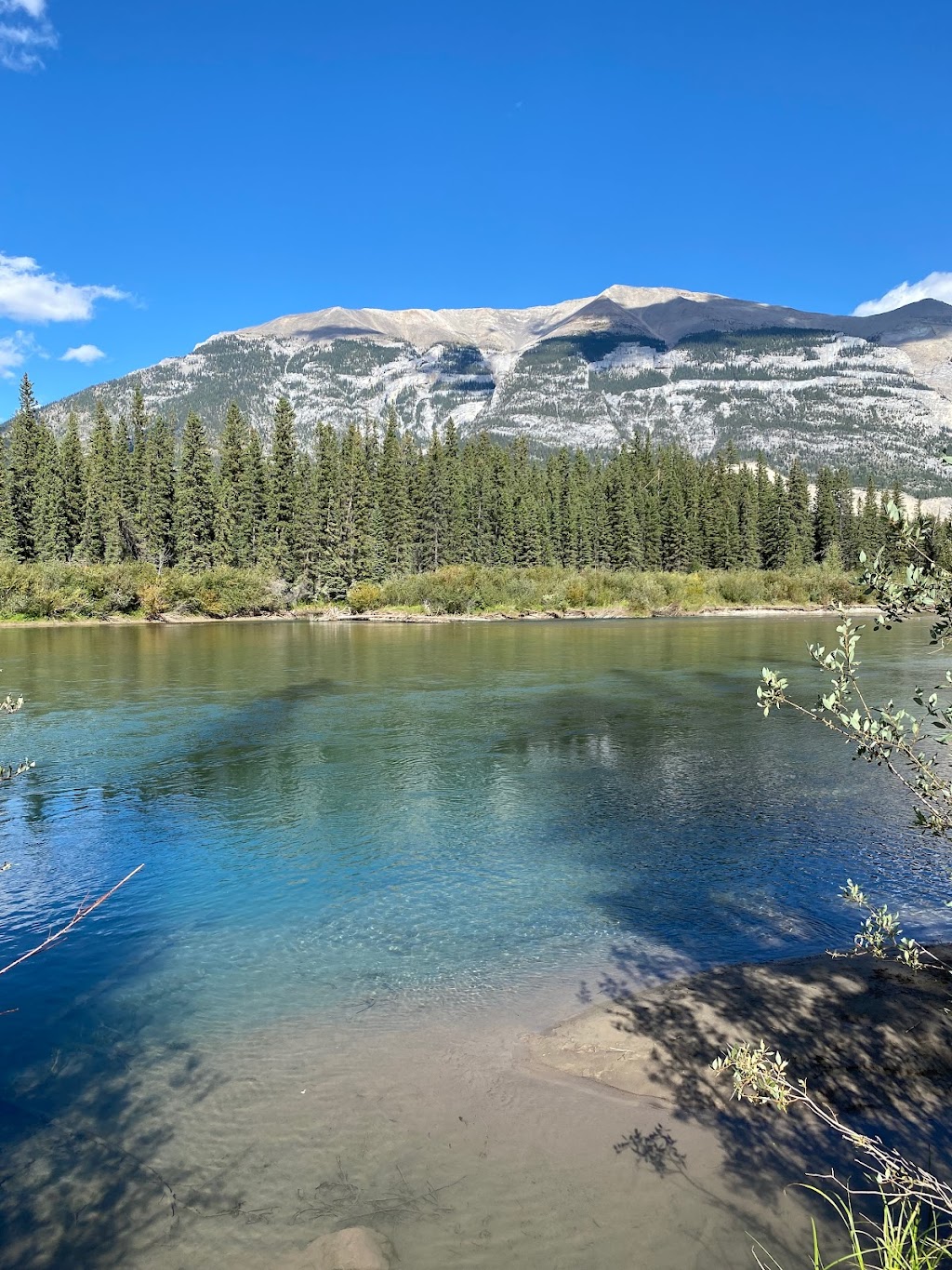 Bow River Campground | Hwy 1 and, Three Sisters Pkwy, Canmore, AB T0L 2C0, Canada | Phone: (403) 673-2163