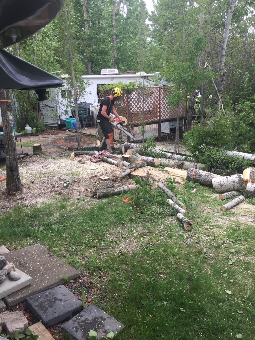 City Tree Service | 10910 69 Ave NW, Edmonton, AB T6H 2E5, Canada | Phone: (780) 271-8733