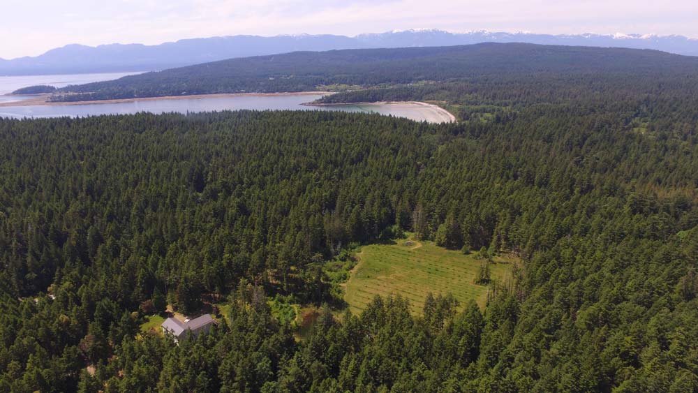 Hornby Island Winery | 7000 Anderson Dr, Hornby Island, BC V0R 1Z0, Canada | Phone: (250) 335-3019