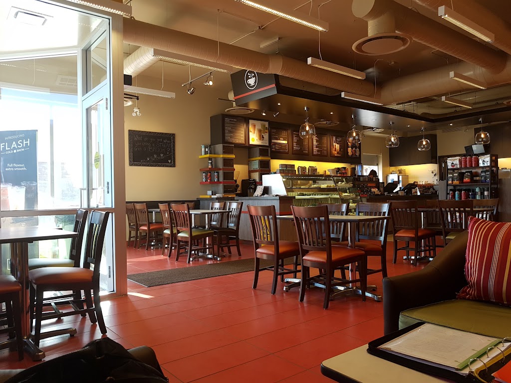 Second Cup Coffee Co. featuring Pinkberry Frozen Yogurt | 8 Millennium Dr, Quispamsis, NB E2E 4B1, Canada | Phone: (506) 849-9678