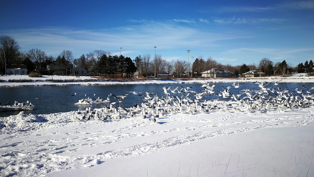 Lakefront Promenade Park Nice | Lakeview, Mississauga, ON L5G, Canada