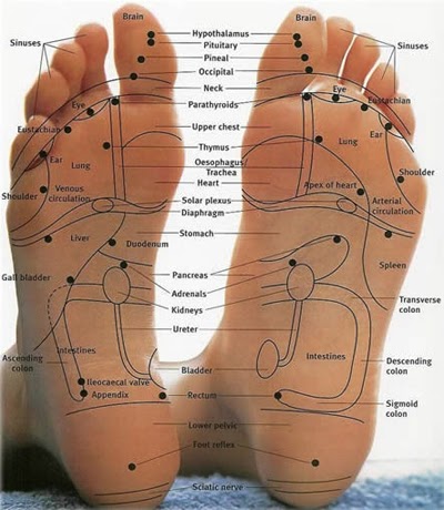 Reflexion Of Sole | 4390 Quinby Dr Suite J, Hamburg, NY 14075, USA | Phone: (716) 866-0072