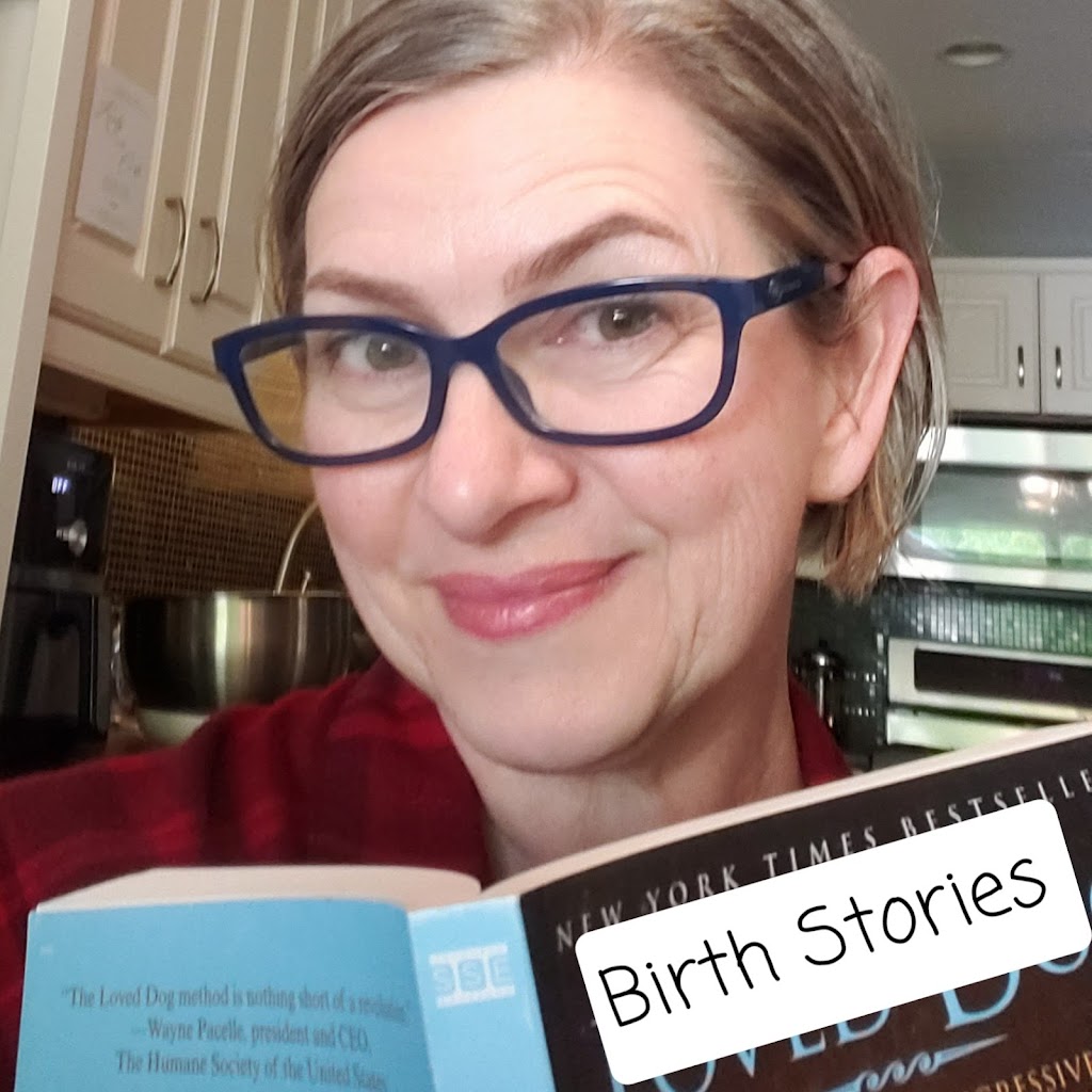 Susan DiFabio Postpartum Doula Services | 582 Killarney Rd, London, ON N5X 0C9, Canada | Phone: (519) 281-8425