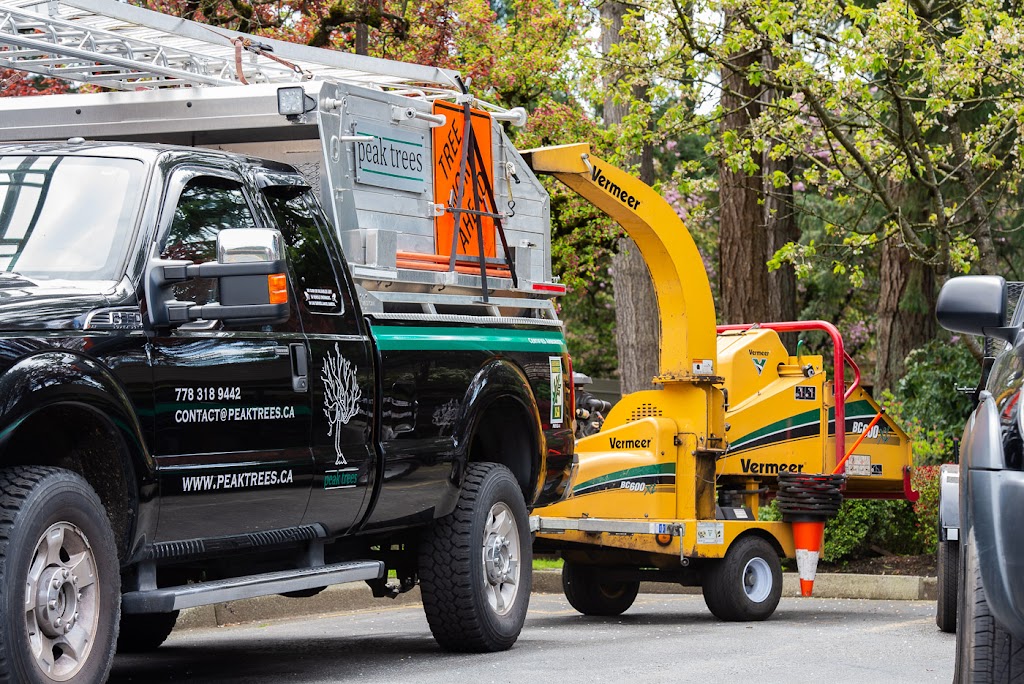 Peak Trees | 6566 Pinehurst Dr, Vancouver, BC V5X 4P1, Canada | Phone: (778) 318-9442
