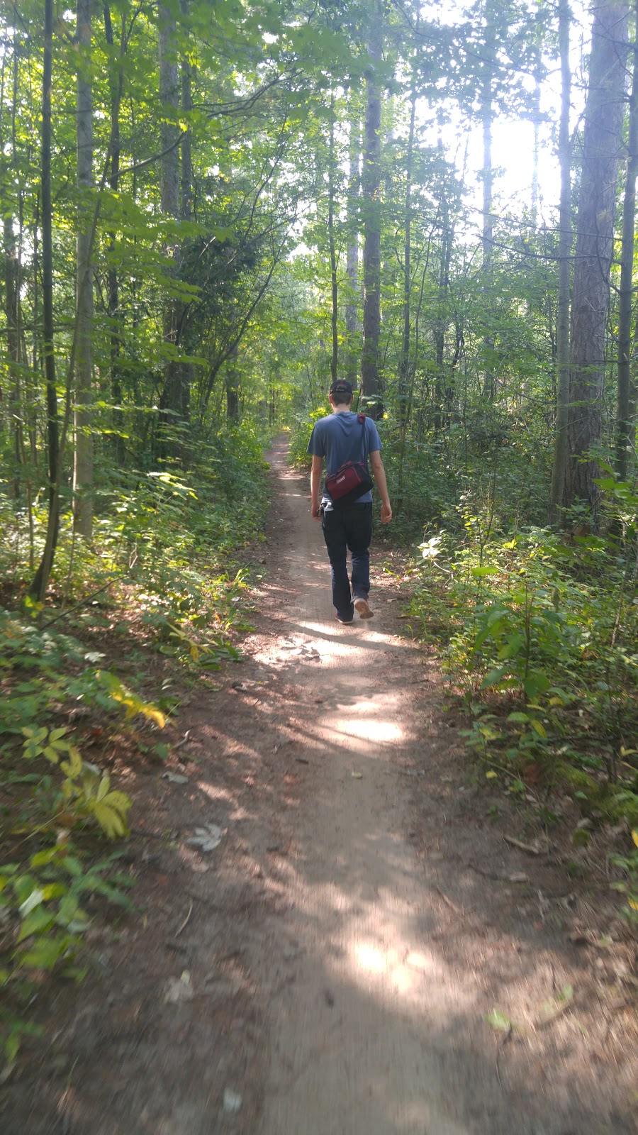 Goodwood Tract Oak Ridges Trail | Red Oak Trail, Uxbridge, ON L9P 1R4, Canada | Phone: (905) 833-6600