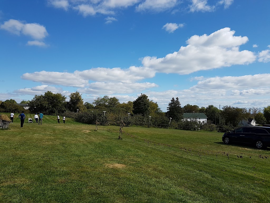 Pieters Appleyard | 13516 County Rd 2 RR 4, Colborne, ON K0K 1S0, Canada | Phone: (905) 355-5725