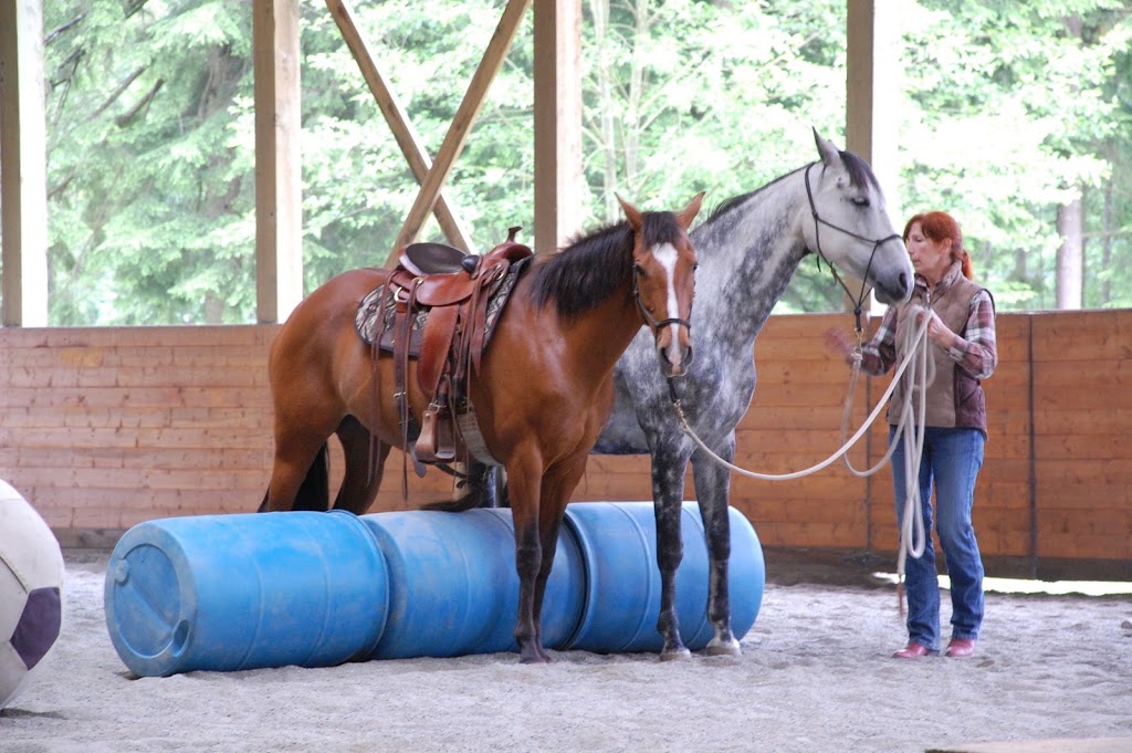 Sandy Lang Horsemanship | 4700 Charlie Spruce Pl, Abbotsford, BC V3G 2K9, Canada | Phone: (604) 850-1243