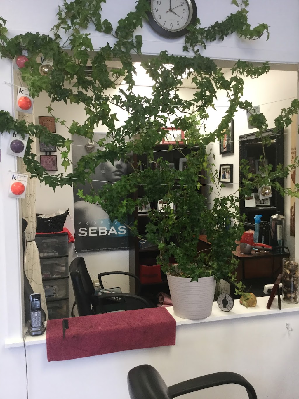 Frank Molnar Hair Design & Katarinas Aesthetics | 1786 Bath Rd, Kingston, ON K7M 4Y2, Canada | Phone: (613) 384-3322