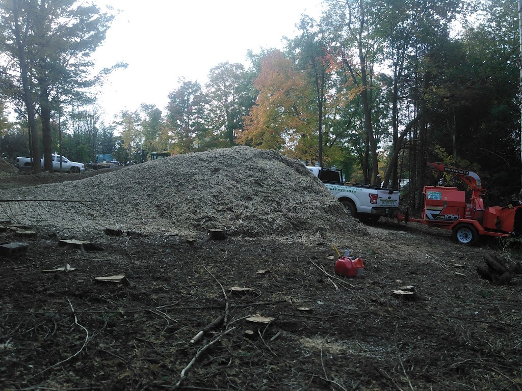 Grenacres Tree Removal Services, Arborist Services | 12698 2 Line, Campbellville, ON L0P 1B0, Canada | Phone: (647) 995-7010