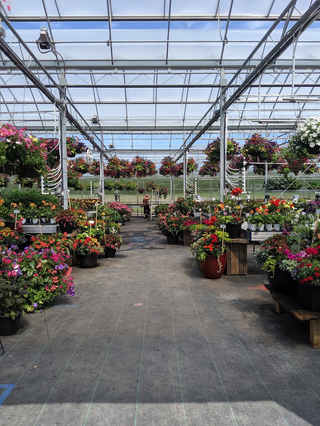 Ramsay Creek | 900B Ramsay Concession 7A, Carleton Place, ON K7C 3P1, Canada | Phone: (613) 462-7335