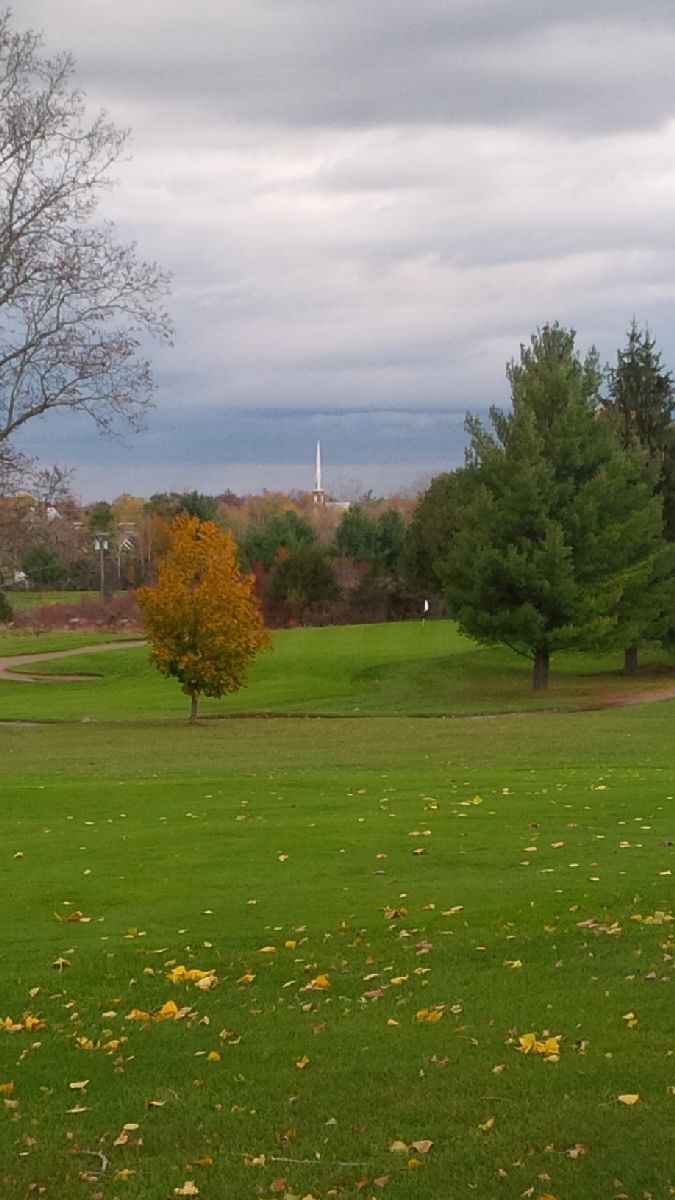 Napanee Golf & Country Club | 201 County Rd 8, Napanee, ON K7R 3M3, Canada | Phone: (613) 354-2313