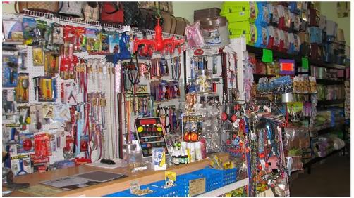 S.O.S. Minou et Pitou | 69 Chemin Saint-François-Xavier, Candiac, QC J5R 4V4, Canada | Phone: (450) 632-0011