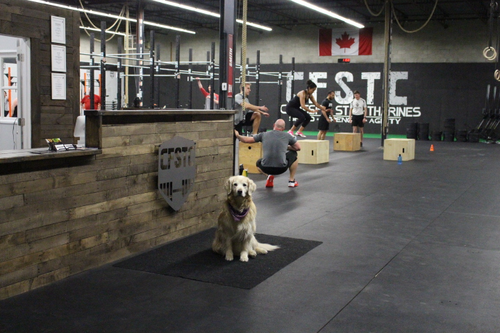 Fit Collective St. Catharines | 333 Ontario St Unit A3, St. Catharines, ON L2R 5L3, Canada | Phone: (905) 325-0309