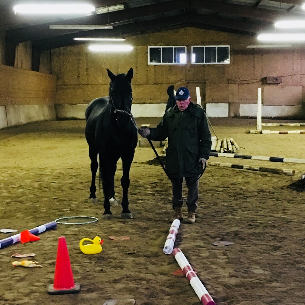Horse Logic Equine Assisted Learning Centre | point of interest | 12472 Chinguacousy Rd, Caledon, ON L7C 1Y9, Canada | 9058678381 OR +1 905-867-8381