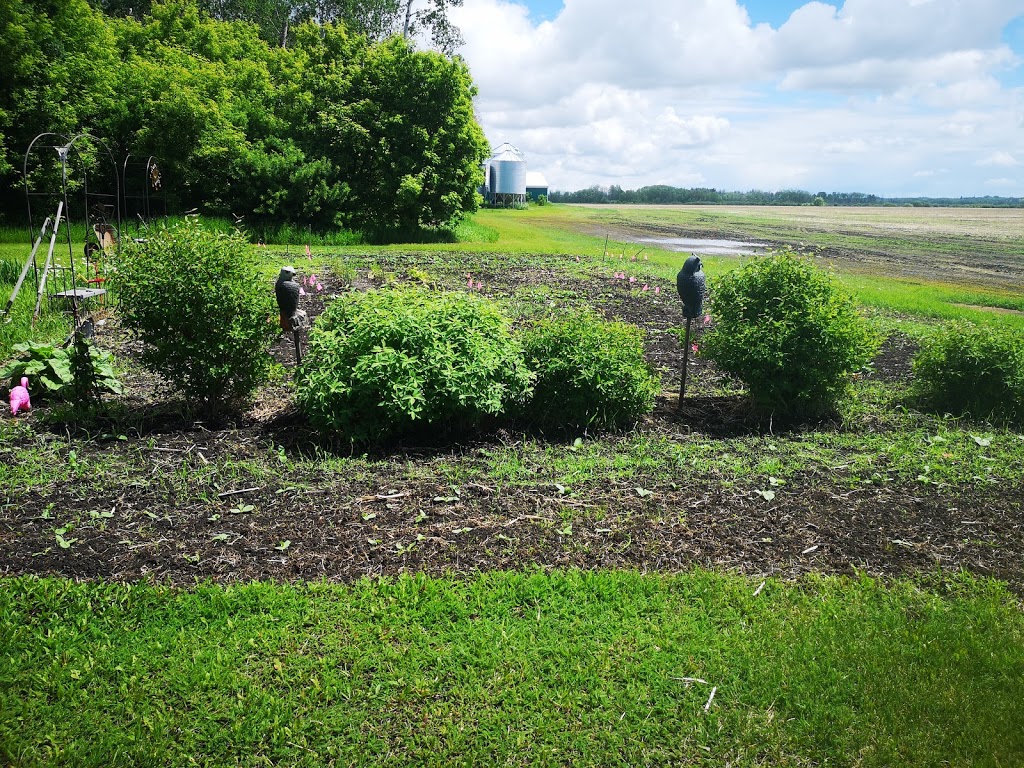 Morgans Hog Haven | Unnamed Road, Prince Albert No. 461, SK S6V 2W9, Canada | Phone: (306) 922-8387