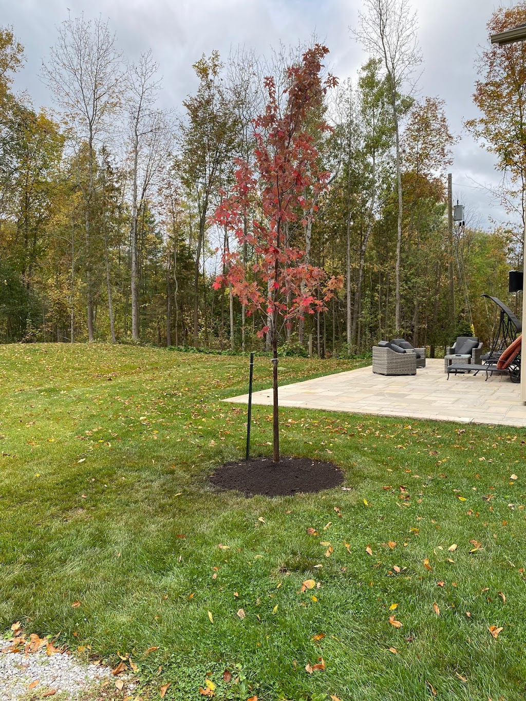 TEG Contracting | 121 King St, Woodville, ON K0M 2T0, Canada | Phone: (705) 464-0023
