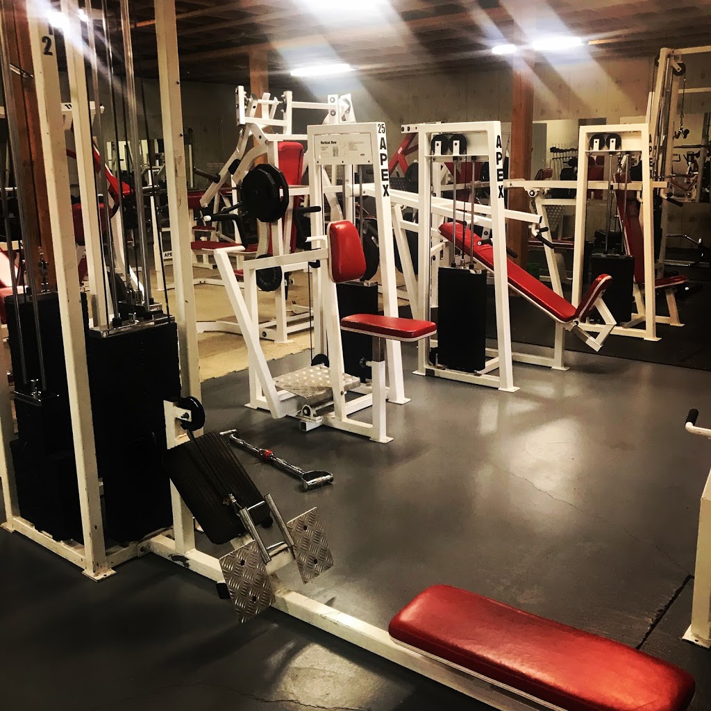 Lakeside Fitness | 4113 Squilax-Anglemont Rd, Scotch Creek, BC V0E 1M5, Canada | Phone: (250) 955-6211