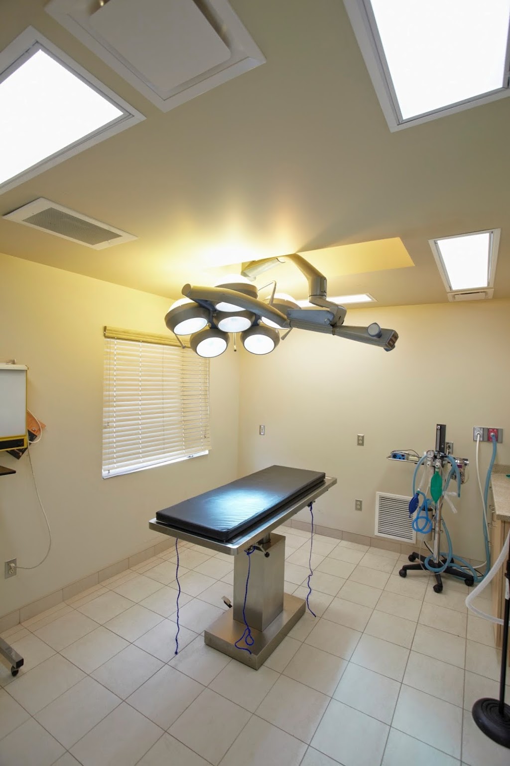 Chelmsford Animal Hospital | 3147 Laura Dr, Chelmsford, ON P0M 1L0, Canada | Phone: (705) 855-8869