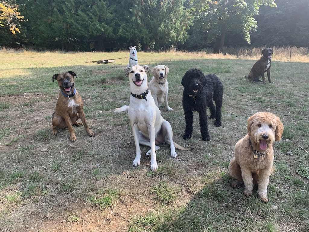 Just Like Home Pet Care | W Saanich Rd, Victoria, BC V9E 2G1, Canada | Phone: (250) 634-1404