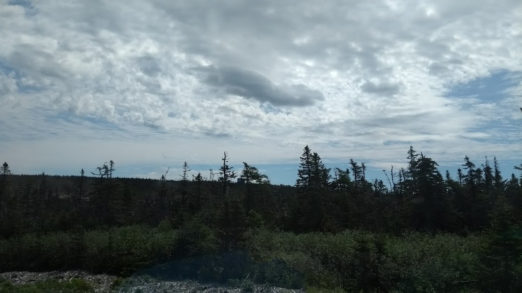 Irving Oil | 2630 Trans CA Hwy, Donovans, NL A1L 2A9, Canada | Phone: (709) 364-8936