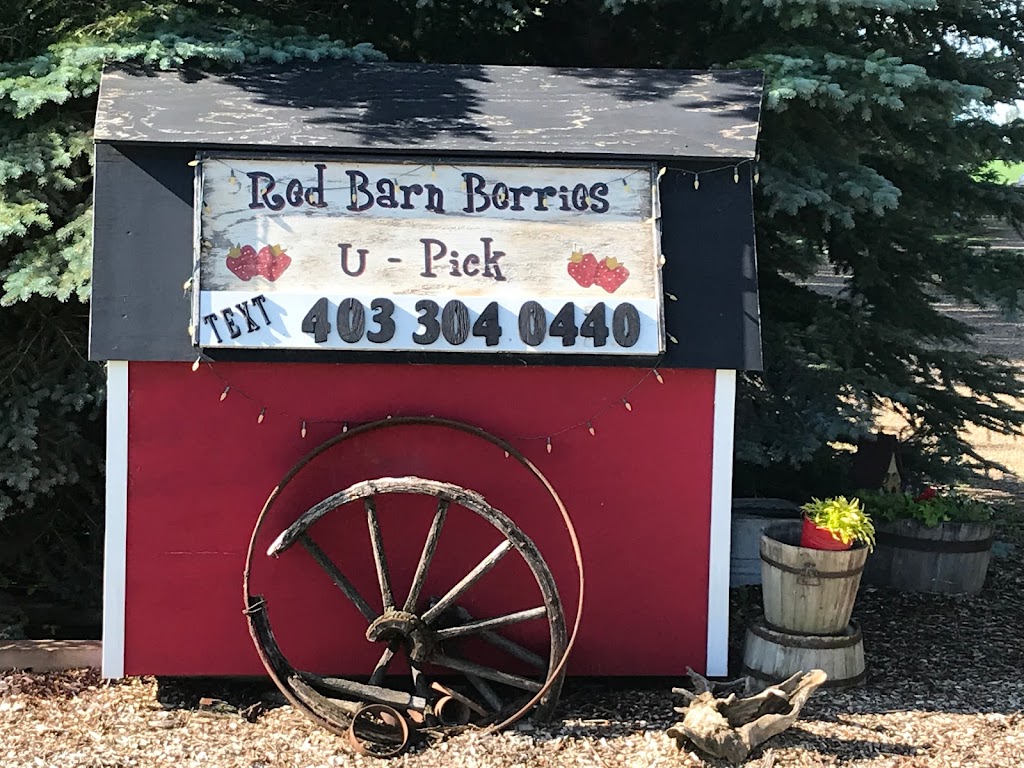Red Barn Berries Central Alberta U-Pick | Township Rd 392, Alberta T4E 1C8, Canada | Phone: (403) 304-0440