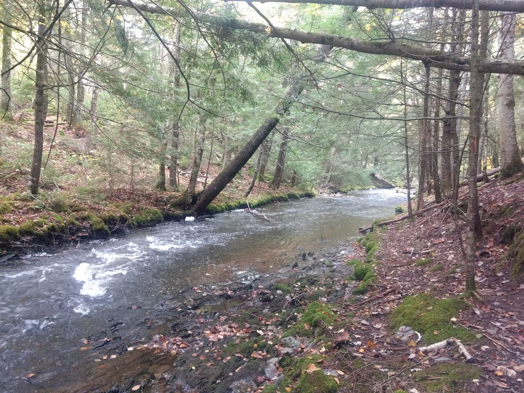 Butcher Hills Falls | 623-633 Higgins Mill Rd, Upper Stewiacke, NS B0N 2P0, Canada