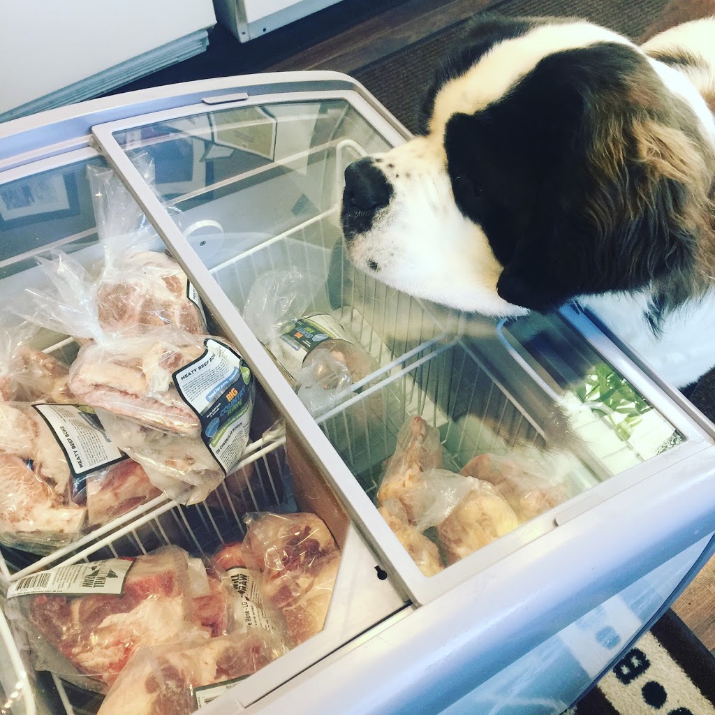 Dog-Gone Raw | 3149 Homestead Dr, Mount Hope, ON L0R 1W0, Canada | Phone: (905) 570-9414