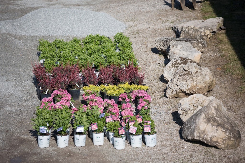 Floods Nursery Farm | 3641 County Road, 31 Albuna Townline, Ruthven, ON N0P 2G0, Canada | Phone: (519) 326-8790
