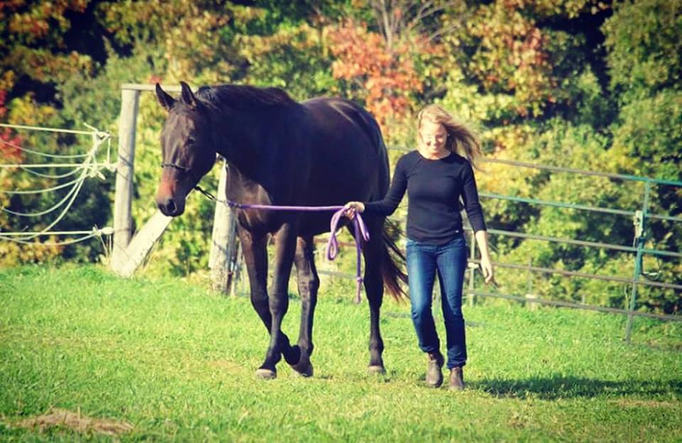 Anning Mill Farms | 086091 Side Rd 7, Meaford, ON N4L 1W6, Canada | Phone: (519) 377-4449