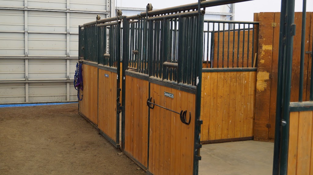 White Dove Stables | 5285 Hopedale Rd, Chilliwack, BC V2R 4P9, Canada | Phone: (604) 832-0189