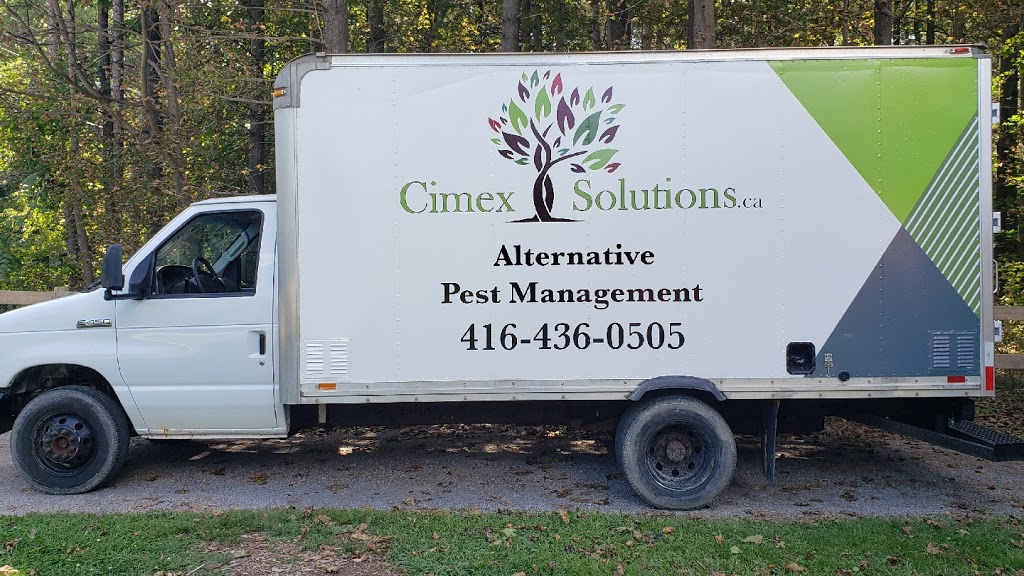 Cimex Solutions | 348 Deer Park Dr, Keswick, ON L4P 3C8, Canada | Phone: (416) 436-0505