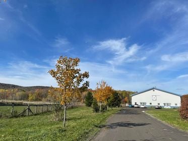 Ferme Équestre Aux Trois Temps | 49 Rang des Vingt, Saint-Basile-le-Grand, QC J3N 0E3, Canada | Phone: (514) 655-7019