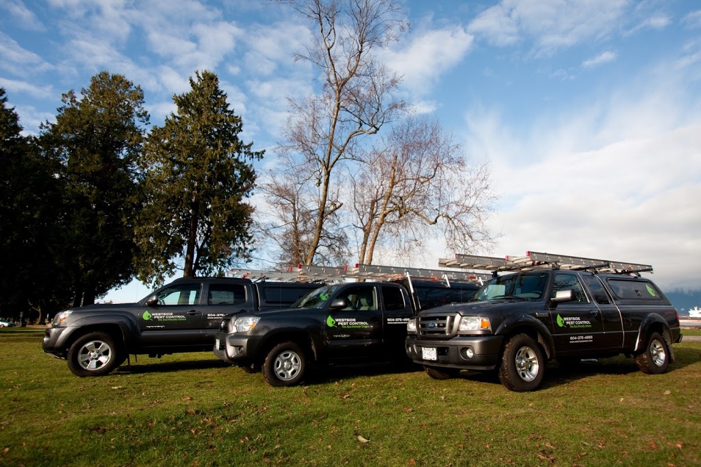 Westside Pest Control Coquitlam | 1-120 Glacier St, Coquitlam, BC V3V 3L6, Canada | Phone: (604) 498-0225