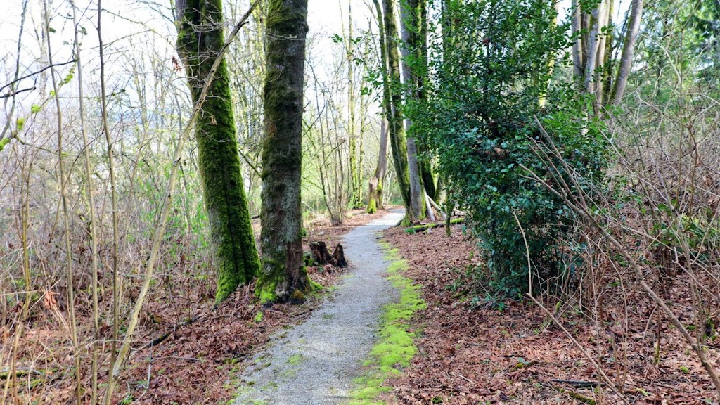 Al Cleaver Park | 11870 River Rd, Surrey, BC V3V 2V7, Canada | Phone: (604) 501-5050